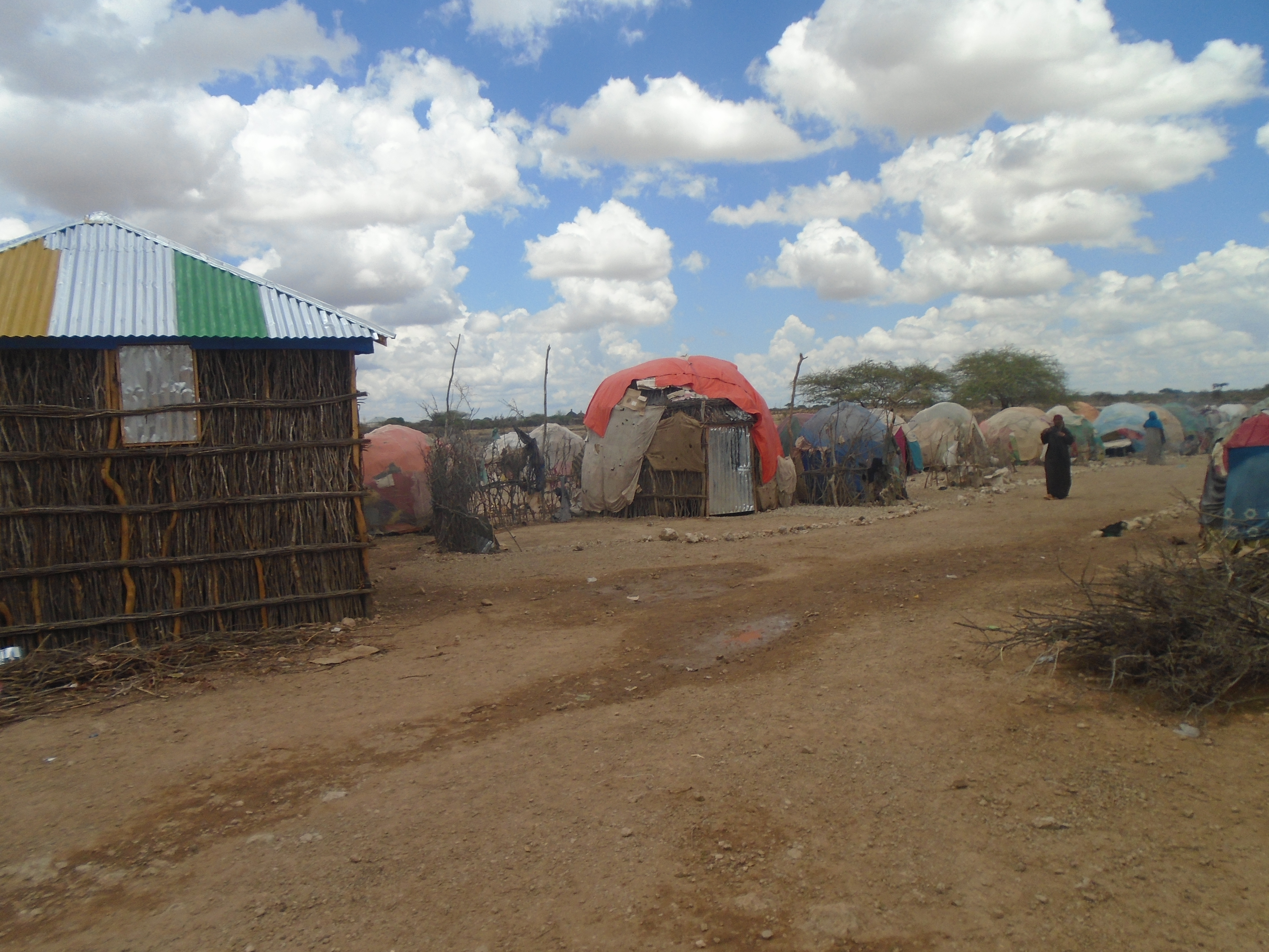 Community Engagement